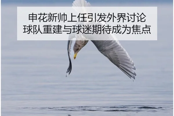 shen-hua-xin-shuai-shang-ren-yin-fa-wai-jie-tao-lun-qiu-dui-chong-jian-yu-qiu-mi-qi-dai-cheng-wei-jiao-dian-2-858.jpg